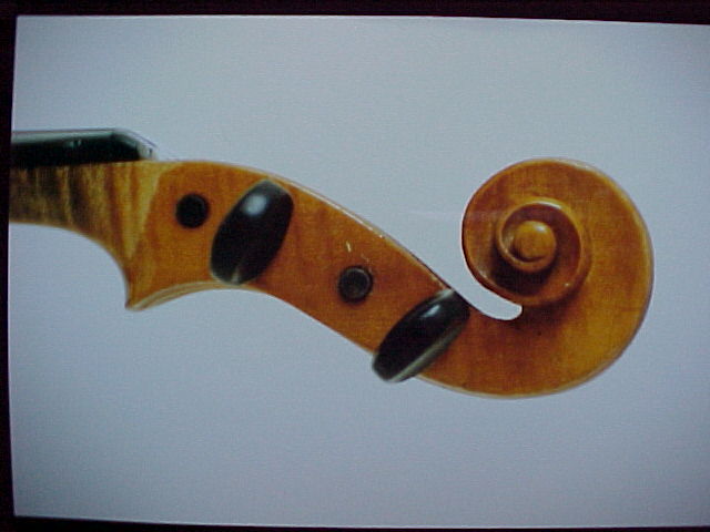 pic of hornsteiner violin